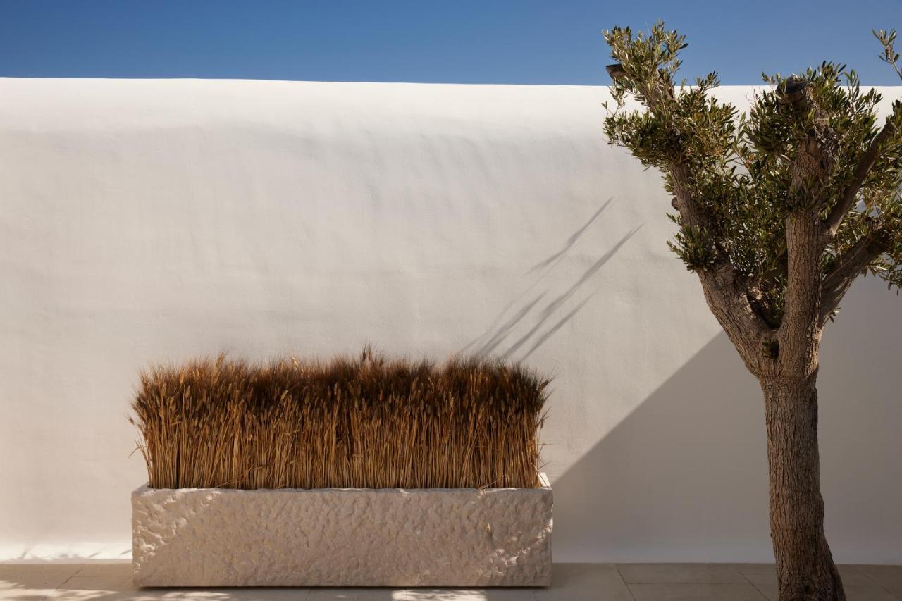 Kalesma Mykonos Hotel Ornos  Buitenkant foto
